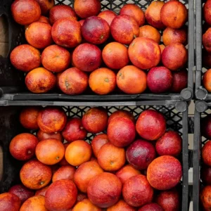 Blood Orange Tree - 2 Feet In 1 Gallon Pot