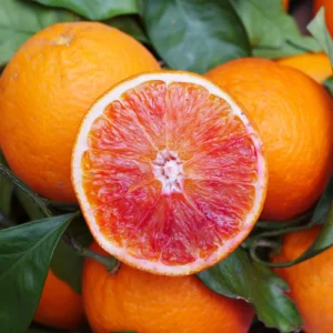 Blood Orange Tree - 2 Feet In 1 Gallon Pot