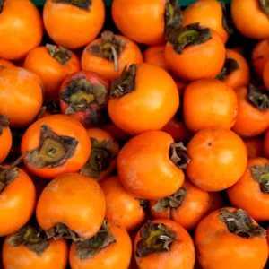 American Persimmon Tree Live Plant - 10 to 12 Inch Tall, Persimmon Fruit Tree for Planting, Hardy and Well-Rooted