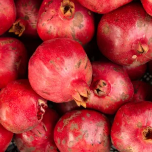 Wonderful Pomegranate Tree Live Plant - 10 to 12 Inches Tall, Pomegranate Fruit Tree or Bush, Perfect for Indoor or Outdoor Growing