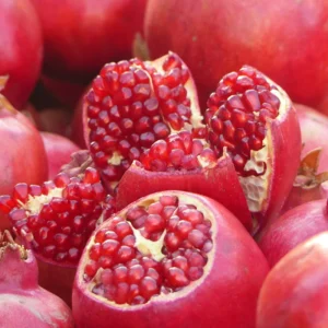 Set 3 Wonderful Pomegranate Tree Live Plant - 5 to 7 Inches Tall, Pomegranate Fruit Tree Plant for Home Garden