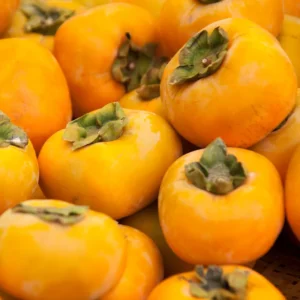 American Persimmon Tree Live Plant - 10 to 12 Inch Tall, Well-Rooted Persimmon Tree for Planting, Sweet Fruit-Bearing Tree, Suitable for Home Gardens, Hardy in Zones 5-9