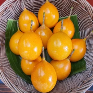 Gold Passion Fruit Tree for Planting, Perennial Fruit Vine Plant - 5 to 10 Inch, Passion Fruit Tree, Gold Passion Fruit