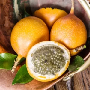 Gold Passion Fruit Tree for Planting, Perennial Fruit Vine Plant - 5 to 10 Inch, Passion Fruit Tree, Gold Passion Fruit