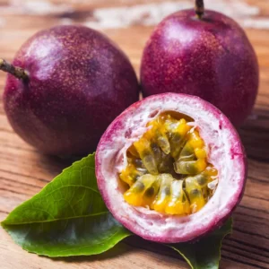 Purple Possum Passion Fruit Tree for Planting - 5 to 10 Inch Tall , Passionfruit Vine Plant, Ready for Planting, Passion Fruit Tree Live Plant, Passionfruit Tree