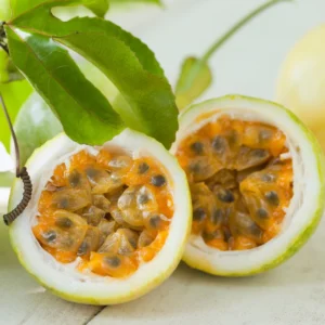 Passion Fruit Tree Live Plant, Yellow Passion Fruit Tree - 5 to 10 Inch Tall, Well Rooted, Ready for Planting