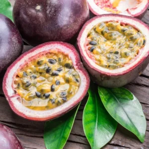 Purple Possum Passion Fruit Tree for Planting - 5 to 10 Inch Tall , Passionfruit Vine Plant, Ready for Planting, Passion Fruit Tree Live Plant, Passionfruit Tree
