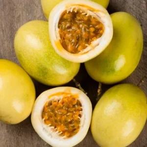 Passion Fruit Tree Live Plant, Yellow Passion Fruit Tree - 5 to 10 Inch Tall, Well Rooted, Ready for Planting