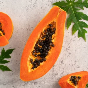 Live Papaya Plant Tree - 5 to 8 Inches Tall, Ready for Planting, Fruit-Bearing Tropical Papaya Tree