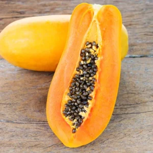 Live Papaya Plant Tree - 5 to 8 Inches Tall, Ready for Planting, Fruit-Bearing Tropical Papaya Tree