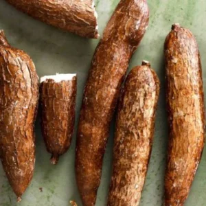 Sweet Red Cassava Yuca Manihot Esculenta Cuttings - 5 Yuca Cuttings, Ready for Planting, 6 to 8 Inch Long, High Yields