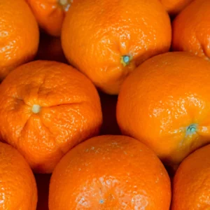 Murcott Mandarin Tangerine Orange Fruit Tree, Grafted Murcott Tangerine Tree From 2 Feet In Pot, Murcott Tangerine Fruit Plant Live, Murcott Tangerine Fruit Tree Outdoor