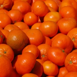 Murcott Tangerine Tree, Sweet Tangerine Fruit Tree, Murcott Tangerine Live Fruit Tree, Large Citrus Tree 2 To 3 Feet Height Live In Pot