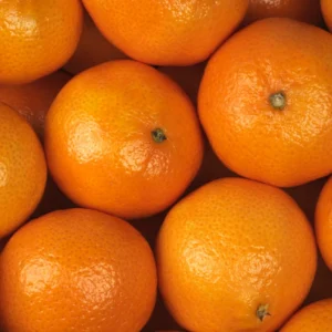 Live Murcott Tangerine Tree Plant From 2 Feet Tall Including Pot Size, Murcott Tangerine Tree Plant Potted, Murcott Tangerine Tropical Fruit Tree For Garden