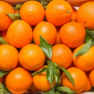 Red Navel Orange Plant, Red Navel Orange Tree Live Plant Outdoor From 2 To 3 Feet, Gallon Potted Fruit Tree For Planting In Garden