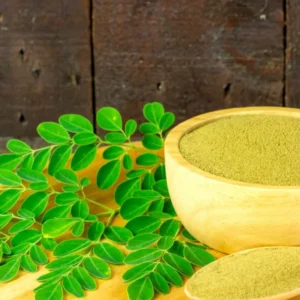 2 Moringa Oleifera Tree Plants Live for Planting, Drumstick Tree, Horseradish Tree, from 6 to 8 Inches In Tall, No Pot