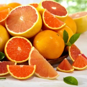 Ruby Red Grapefruit Tree in 4 Inch Pot, Well Rooted Plant