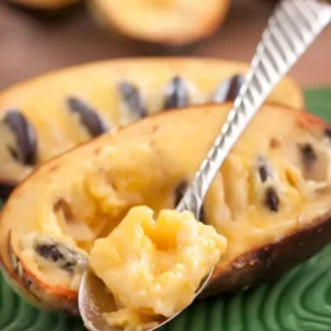 Live Pawpaw Tree, Paw Paw Plant, Indian Banana in Pot, 5 to 7 Inc Tall