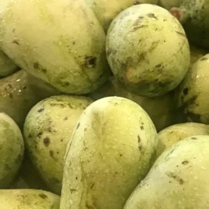 2 Pawpaw Trees, Paw Paw Plants, Indian Banana Paw Paw for Planting, 5-6