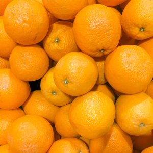 Valencia Orange Tree, Sweet Orange Tree 3 Feet From Pot Base, Mature Orange Fruit Tree In Gallon Pot No Ship To CA, HI, PR, GU, AK, Outdoor Tree Live Plant For Gardening