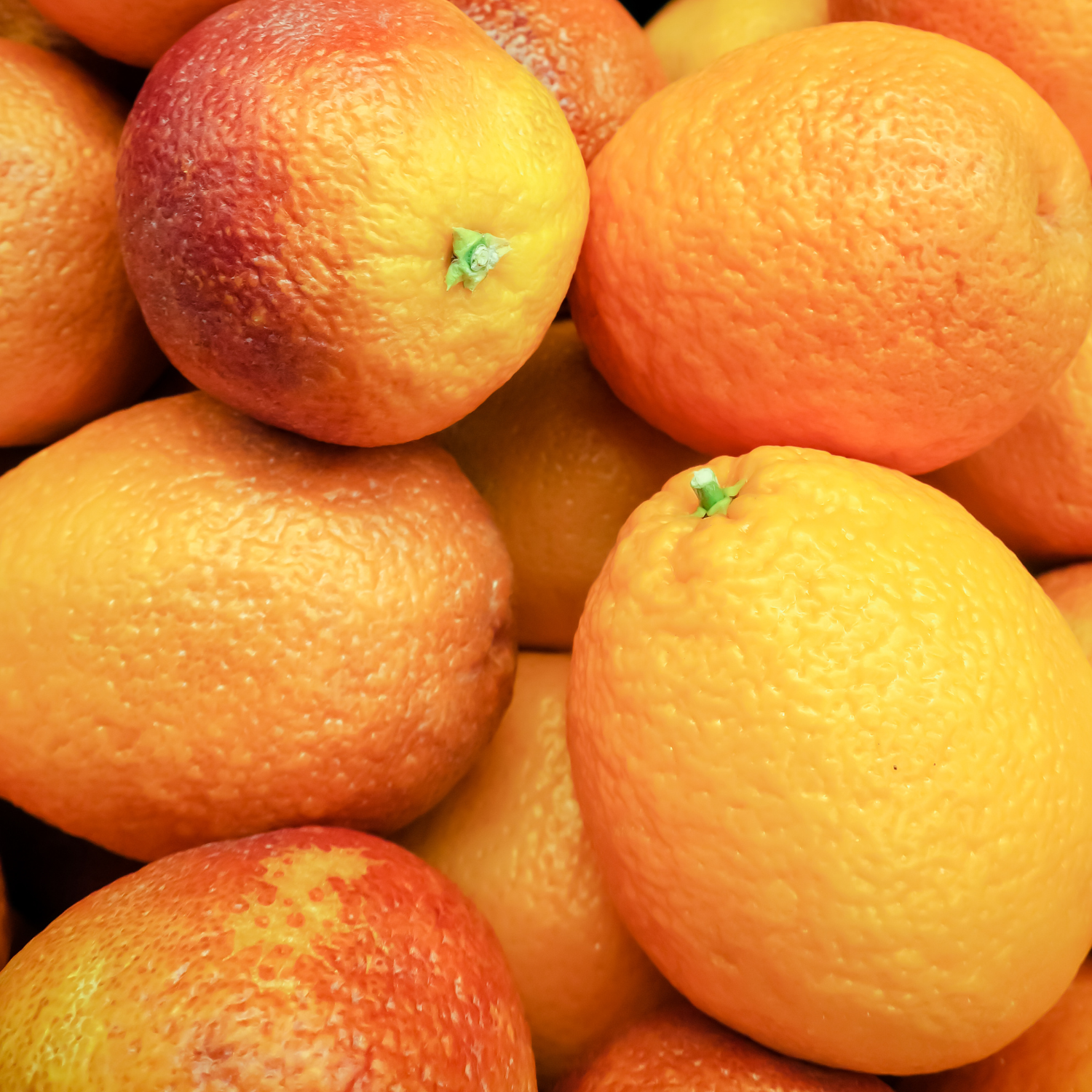 Orange Tree, Live Blood Orange Tree, Miniature Orange Tree Live From 24 Inches, Large Orange Tree Live Plant Outdoor Potted No Ship To CA, HI, PR, GU, AK - Image 4