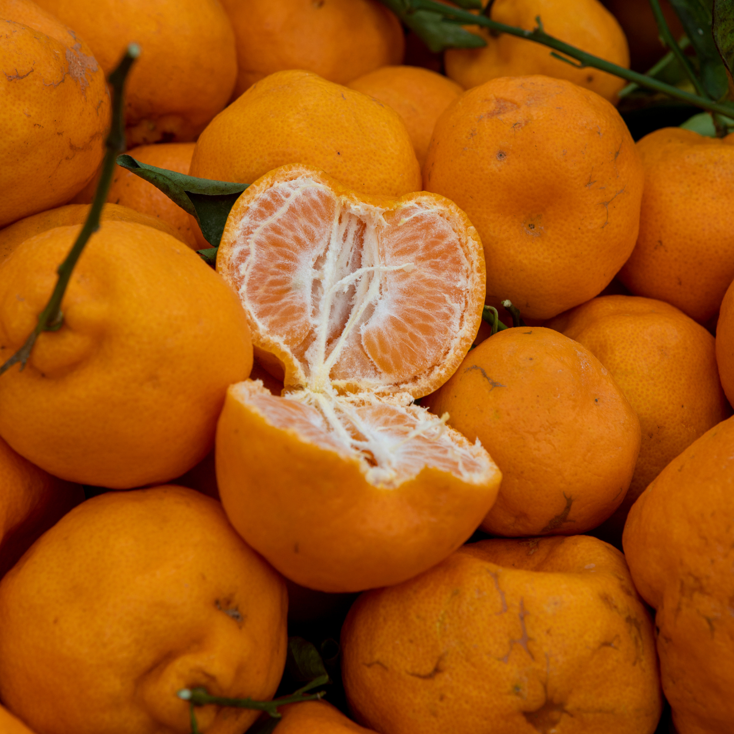 Ponkan Mandarin Tree Live, Mandarin Plant For Planting, Fruit Mandarin Tree, Ponkan Mandarin Tree Outdoor Live From 2 To 3 Feet Tall In Pot - Image 3