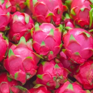 2 White Dragon Fruit Plants Live, 4 to 6 Inches Tall, Live Dragon Fruit Plant, Sweet Fruit Plant, Dragon Fruit Live Plant Indoor