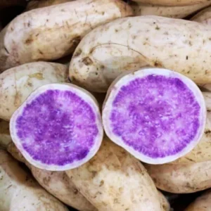 Sweet Potato Cuttings, Sweet Potato Vine Plant, Sweet Potato Cutting Not Seeds