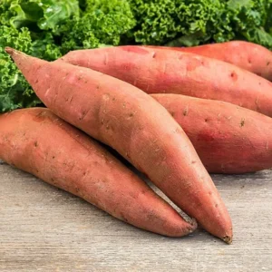 Sweet Potato Cuttings, Sweet Potato Vine Plant, Sweet Potato Set 10 Cuttings