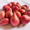 10 Egyptian Walking Onions Bulbs For Planting, Egyptian Walking Onions, Egyptian Walking Onion Seeds