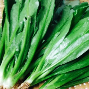 Culantro Plant Live for Planting Garden, 3 to 4 Plants in Pot, Live Culantro Plant, Culantro Live Plants, Full Roots,Ready to Plant