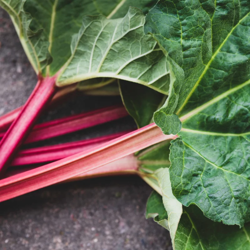 200 Rhubarb Seeds for Planting, Heirloom Non GMO Seeds, High Germination Rate, easy to Plant