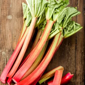 Pack 4 Live Rhubarb Plants for Planting, Red Rhubarb Plant,Rhubarb Root Plant, Rhubarb Plants Live Root, Fresh Rhubarb Plant