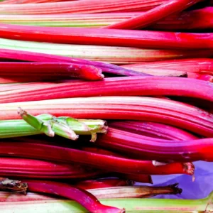 Pack 2 Rhubarb Root Plant for Planting, Rhubarb Plants Live Root, Live Rhubarb Plants, Red Rhubarb Plant, Rhubarb Roots For Planting, Rhubarb Plants, Rhubarb Plant Not Seeds