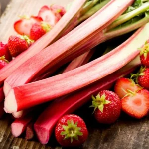 Pack 2 Rhubarb Root Plant for Planting, Rhubarb Plants Live Root, Live Rhubarb Plants, Red Rhubarb Plant, Rhubarb Roots For Planting, Rhubarb Plants, Rhubarb Plant Not Seeds