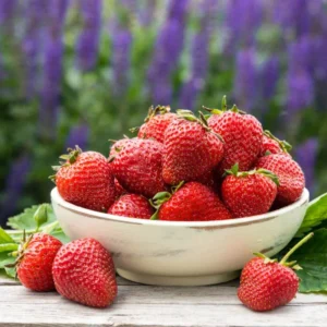 Honeoye Strawberry 10 Bare Root Plants - Extremely Hardy June-Bearing Strawberry Bareroots for Planting