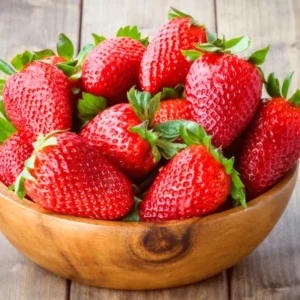 Fort Laramie Everbearing Strawberry 50 Bare Root Plants - Hardiest Everbearer Strawberry Bareroots for Planting