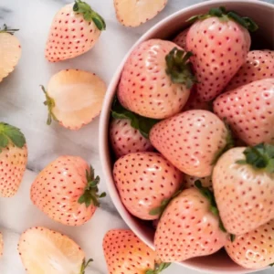 White Carolina Pineberry Plants - 25 Roots -Bareroot-Pineapple/Strawberry Flavor Strawberry Bareroots for Planting