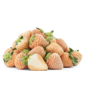White Carolina Pineberry Plants - 50 Roots -Bareroot-Pineapple/Strawberry Flavor Strawberry Bareroots for Planting