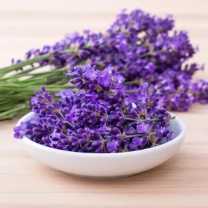 4 Goodwin Creek Lavender