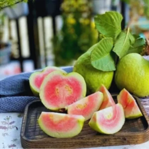 Guava Tree, Pink Guava Tree Live Plant, 4