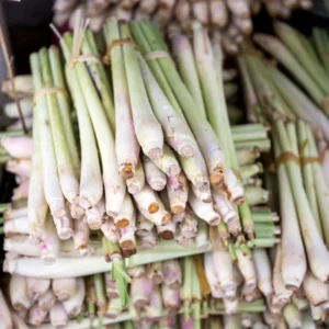 Live Lemon Grass Plants for Outside, Set 10 Lemon Grass Plants Live Outdoor Indoor, 2-3 Plants Per Pot Lemongrass Plants Live for Planting, Lemon Grass Perennial Live Plant