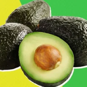 24-36 Inc Hass Avocado Tree Live Plant, Large Avocados Hass Tree Plant, Potted, Grafted Hass Avocado Plant Live Tree In Pot, No CA