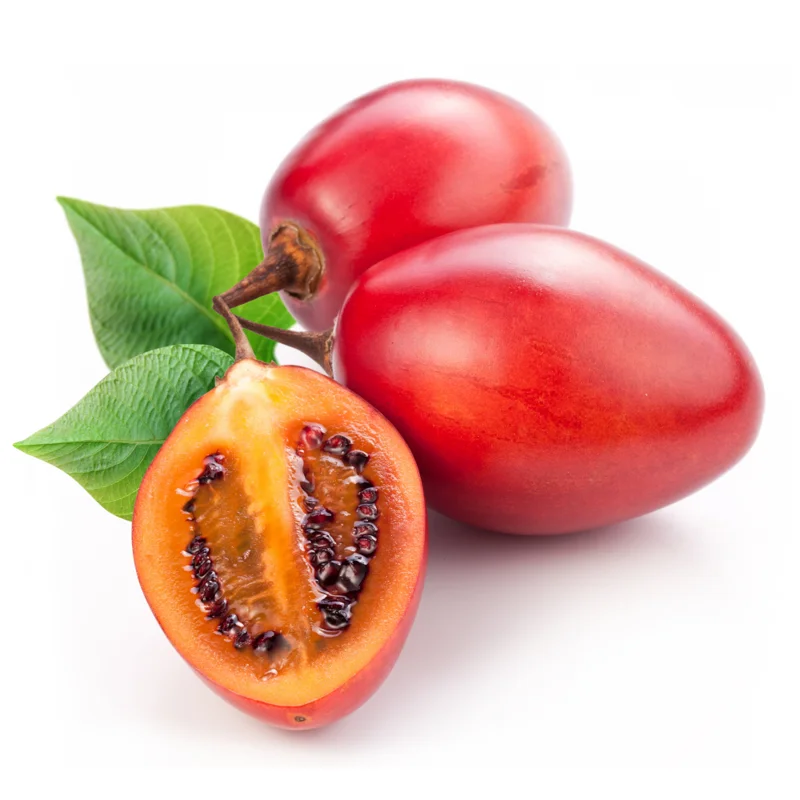Tamarillo Tomato Tree Plant, Exotic Fruit Plant, Tangy, Sweet Flavor Fruits