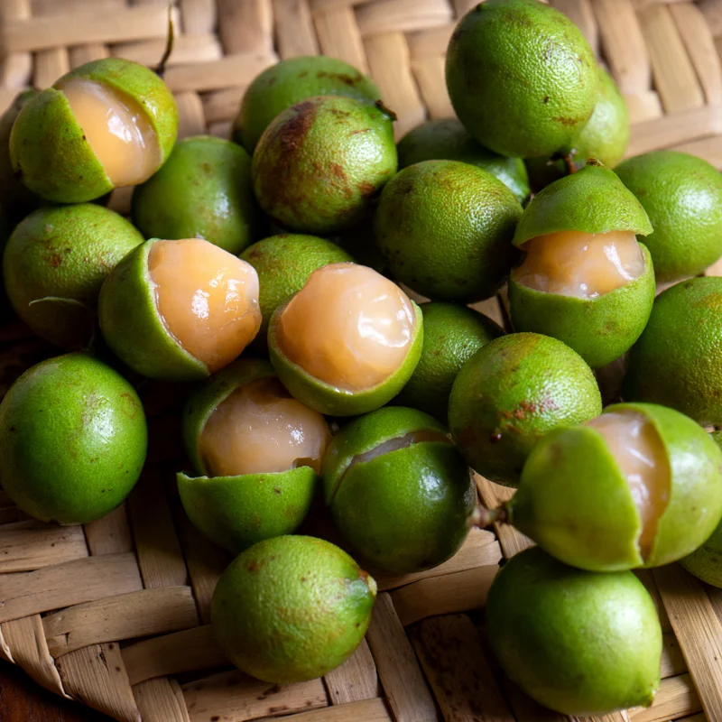 Spanish Lime Tree Plant, Exotic Tropical Fruit Tree for Home Gardens