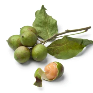 Spanish Lime Tree Plant, Exotic Tropical Fruit Tree for Home Gardens