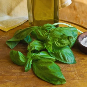 6 Sweet Basil Plants Live, Basil Live Plant, 3 to 5 Inc Tall, Large Leaf Basil Plants, Basil Herb Plant Indoors Outdoors