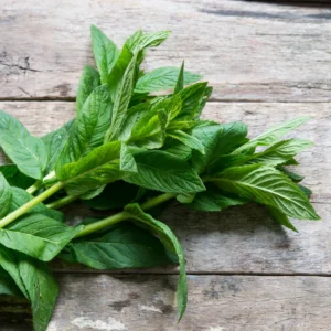 Peppermint Mint Plants Live Indoors Outdoors, Fresh Herb Mint Plant, Mint Plant Seeds, Live Peppermint Plant, Peppermint Plants For Outside Inside