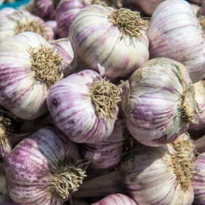 Garlic Bulbs For Planting, Seed Garlic Bulbs, 1 Pound - Purple Garlic
