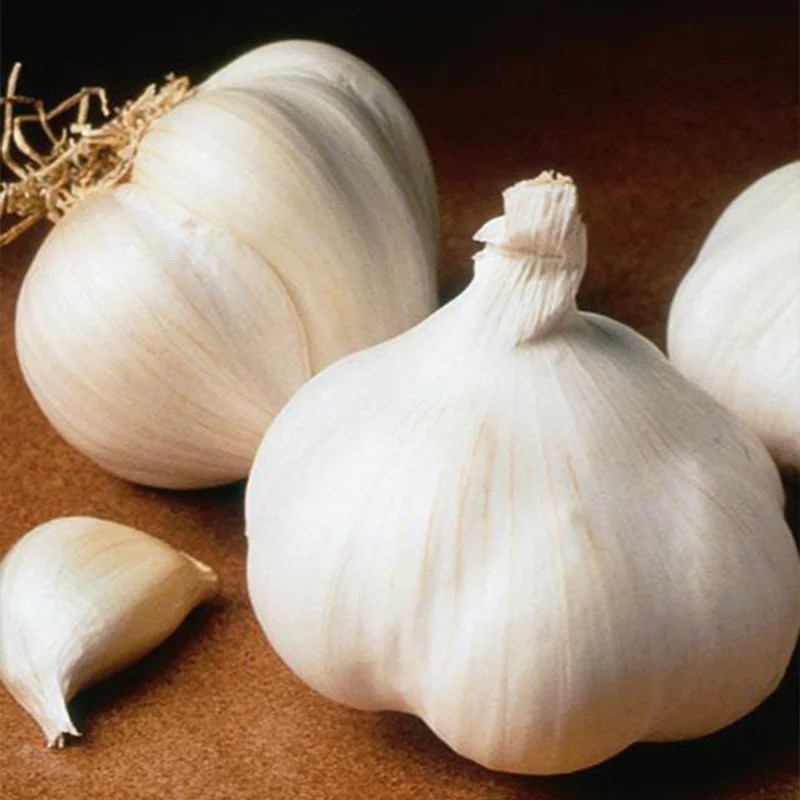 Garlic Bulbs For Planting, Seed Garlic Bulbs, 4 Bulbs - White Garlic